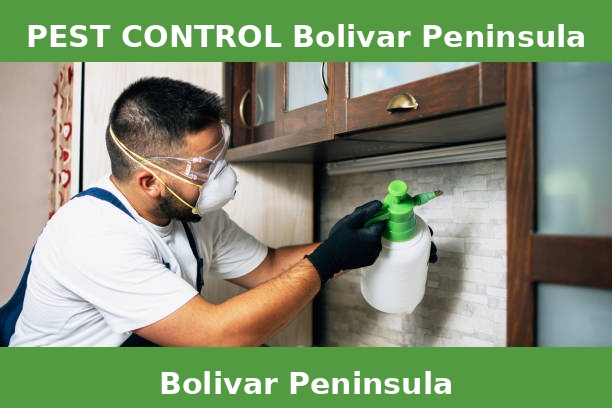 PEST CONTROL Bolivar Peninsula
